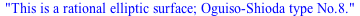 This is a rational elliptic surface; Oguiso-Shioda type No.8.