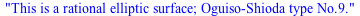 This is a rational elliptic surface; Oguiso-Shioda type No.9.